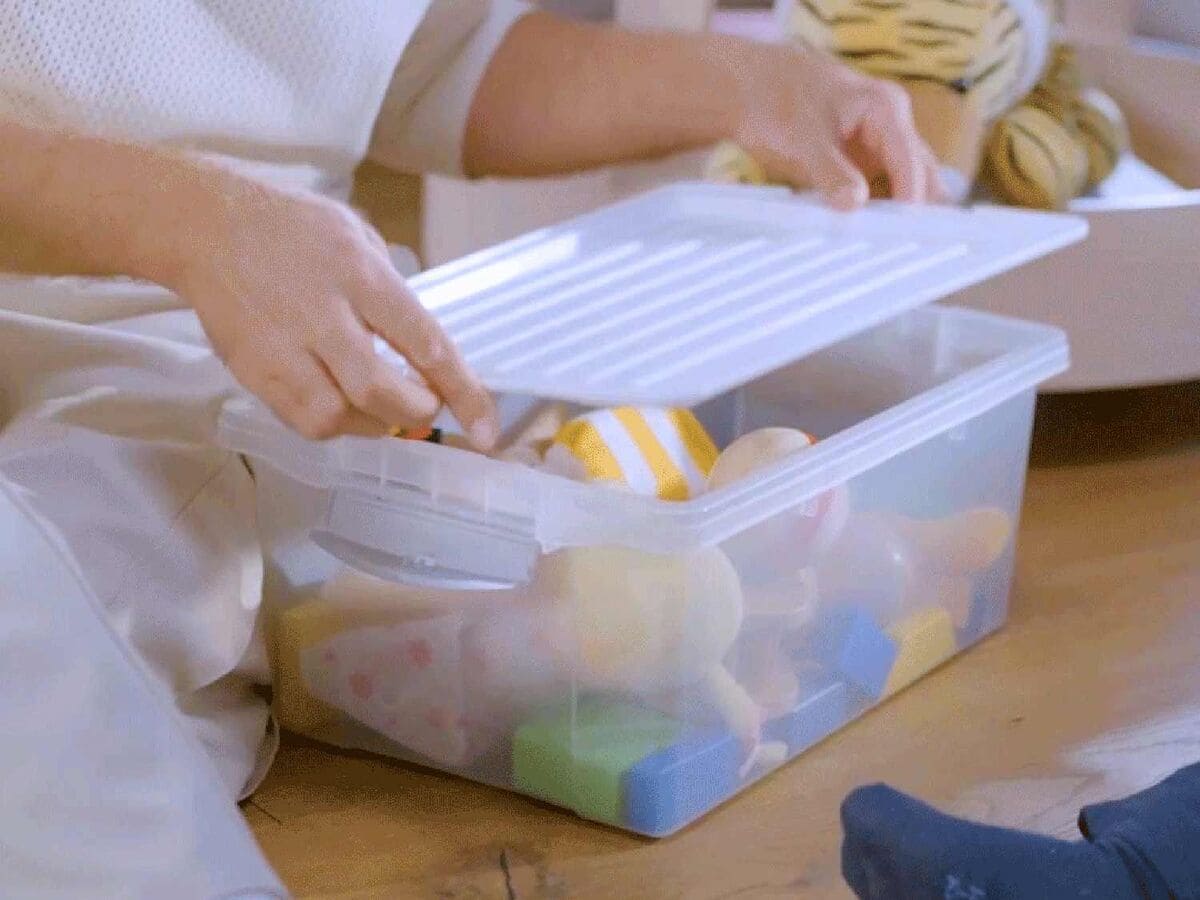 Pack de 2 cajas de ordenación de 13 l