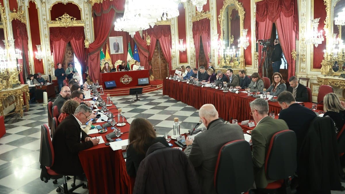 La Diputación de Cádiz ha acogido la celebración del pleno ordinario del mes de marzo | Cristo García