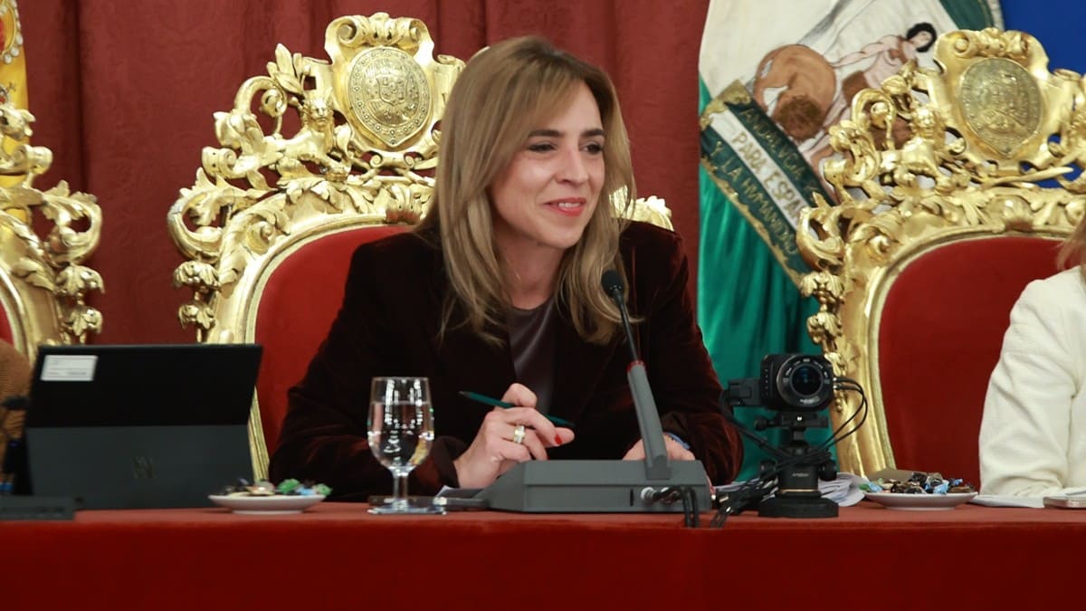 Almudena Martínez ha desgranado la estrategia del gobierno provincial | Cristo García
