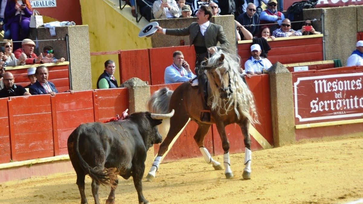 Cartagena sobre Cartago I Breña