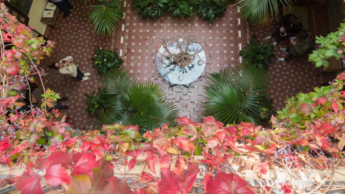 Fiesta de los Patios en El Puerto de Santa María