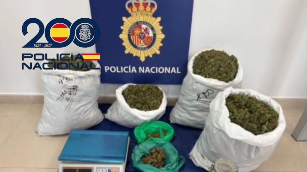 Plantaciones de marihuana intervenidas en Sanlúcar de Barrameda