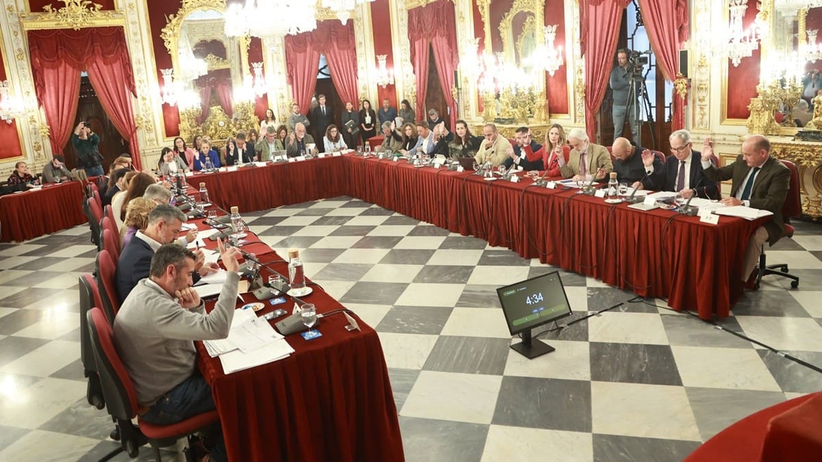 La Diputación de Cádiz ha celebrado su pleno ordinario del mes de abril | Cristo García