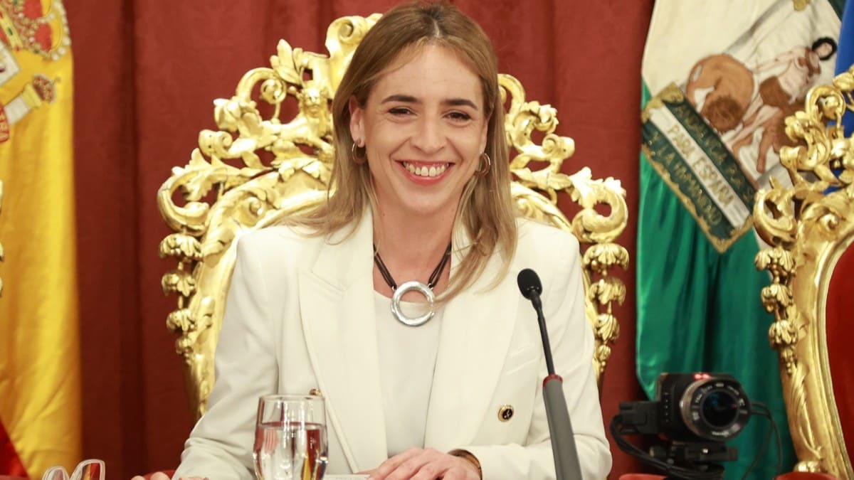 La presidenta de la Diputación, Almudena Martínez, ha presidido la sesión | Cristo García