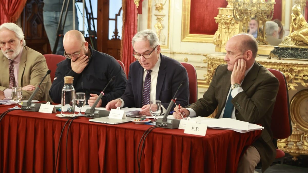 Durante el pleno se han aprobado varias iniciativas presentadas por el PP | Cristo García