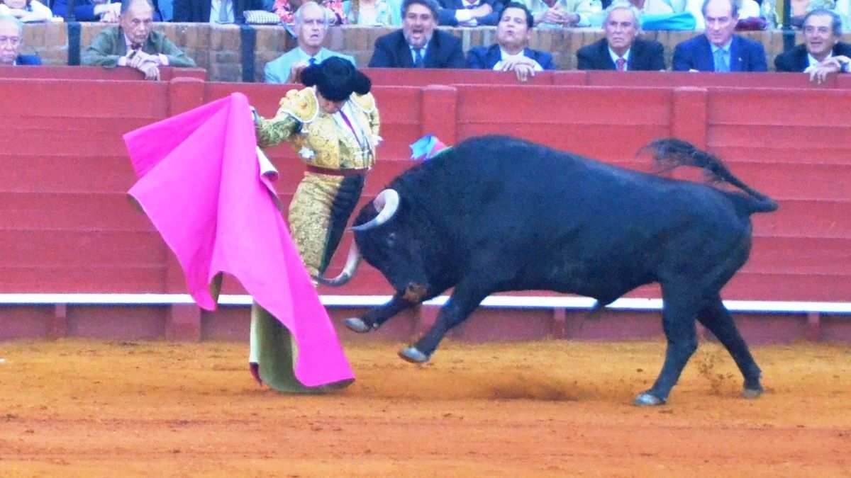 Larga de Morante I Breña