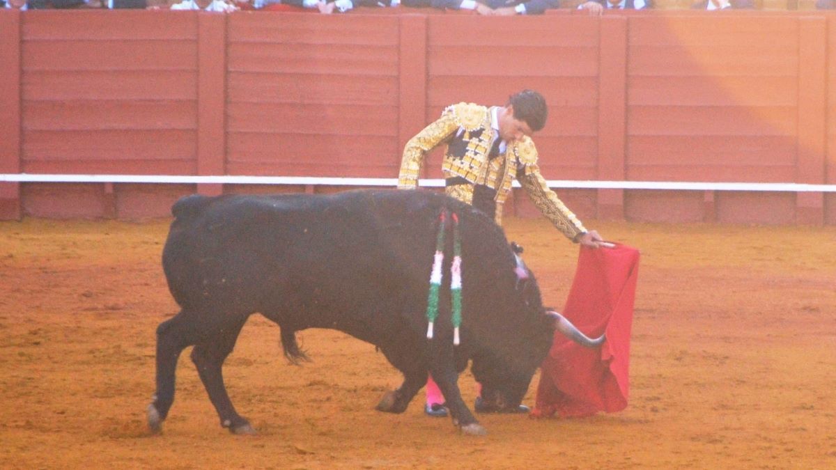 Pablo Aguado I Breña