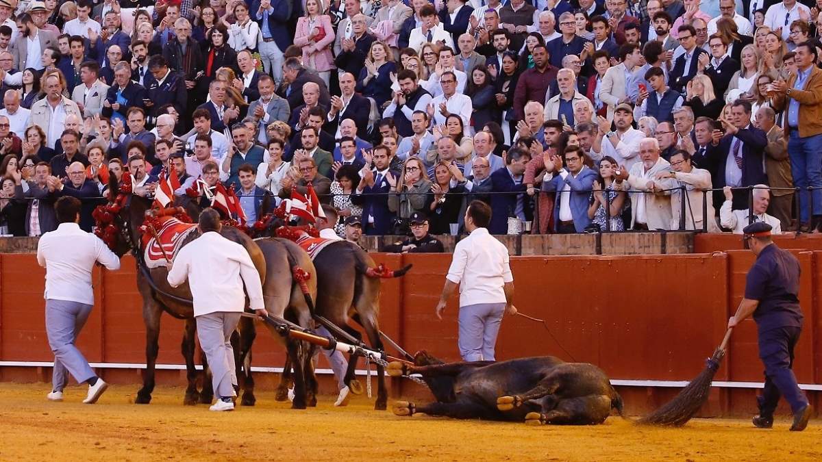 Vuelta al arrastre I Arjona