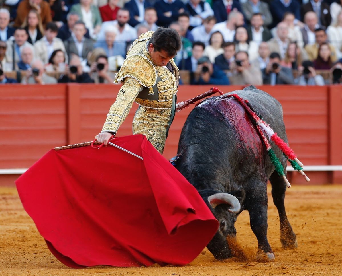 Daniel Luque I Arjona