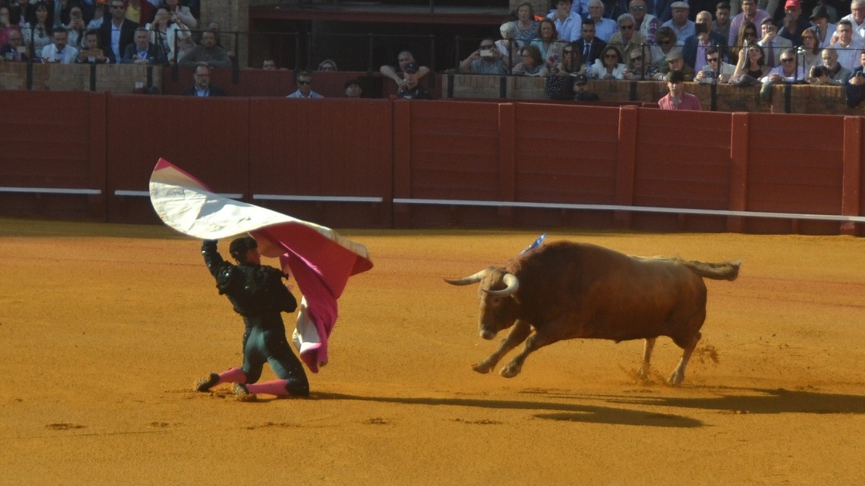 Manuel Escribano I Breña