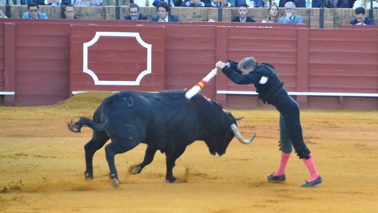 Manuel Escribano I Breña