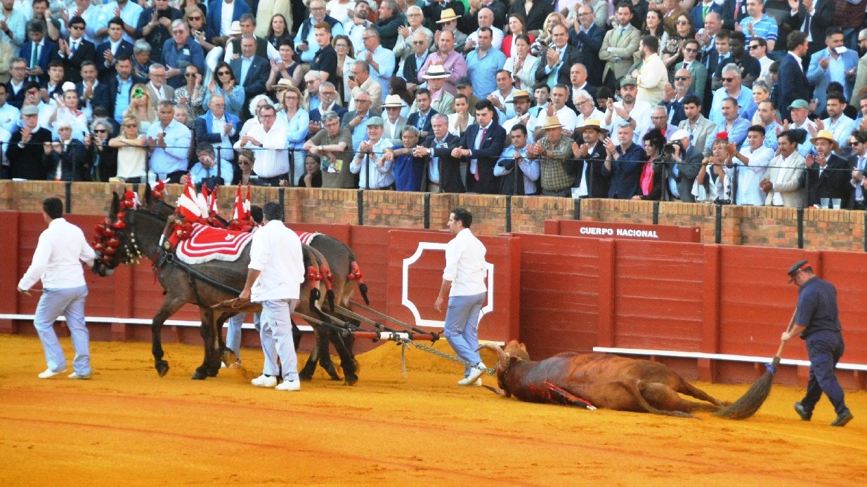 Vuelta a Anárquico I Breña