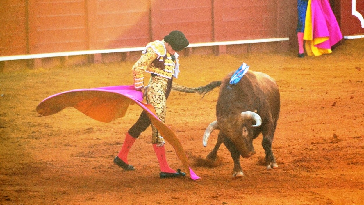 Borja Jiménez I Breña