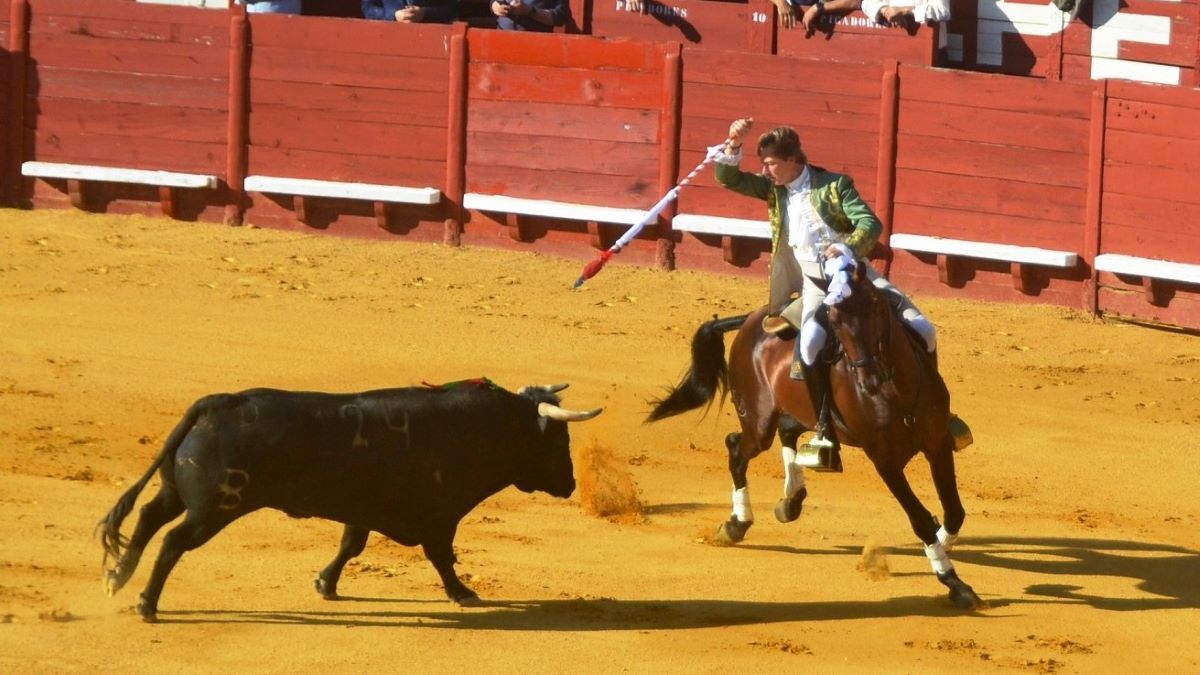 Fernandes sobre Olimpo