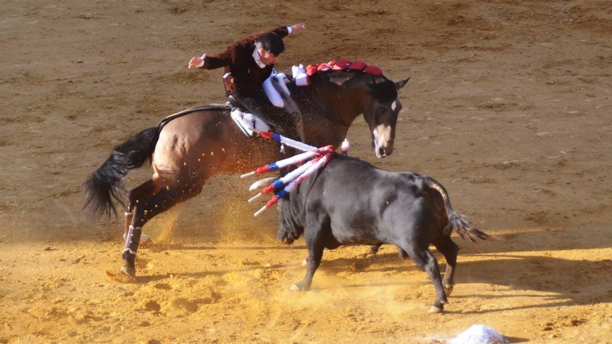Ventura sobre Bronce