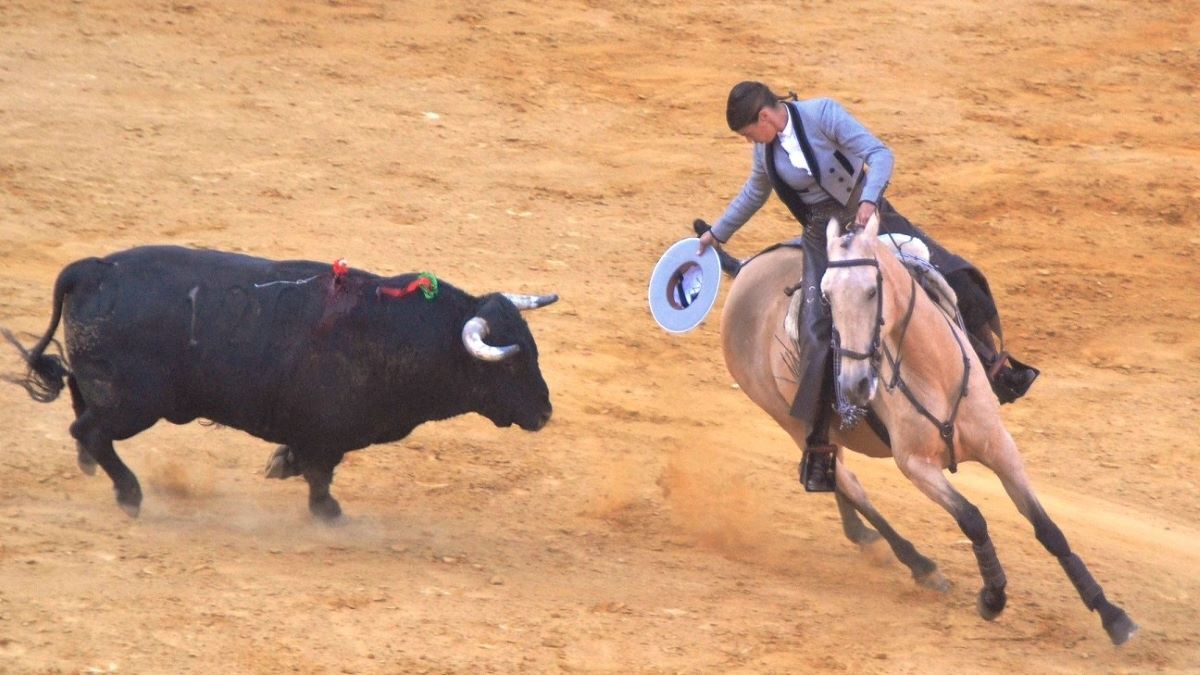 Vicens sobre Guitarra I Breña