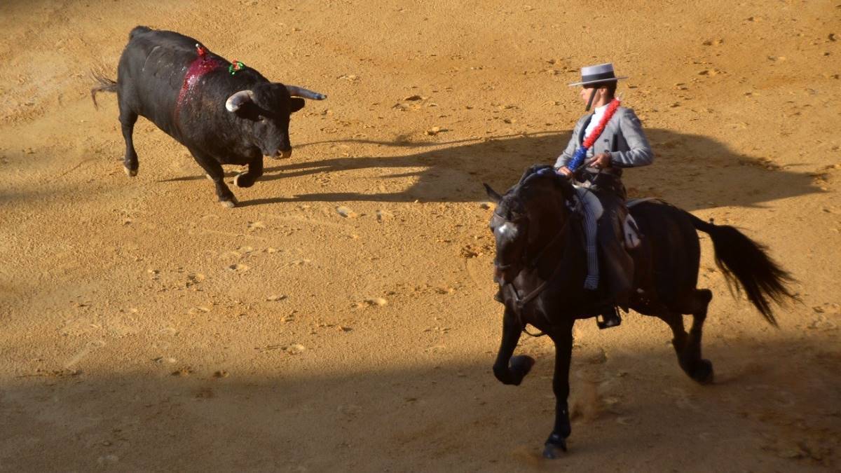 Vicens sobre Jocker I Breña
