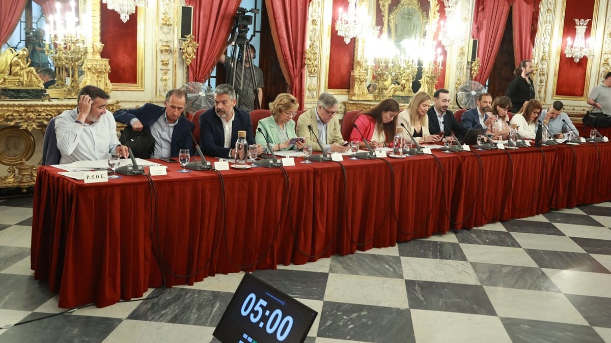 La bancada socialista en el pleno de la Diputación de Cádiz | Cristo García