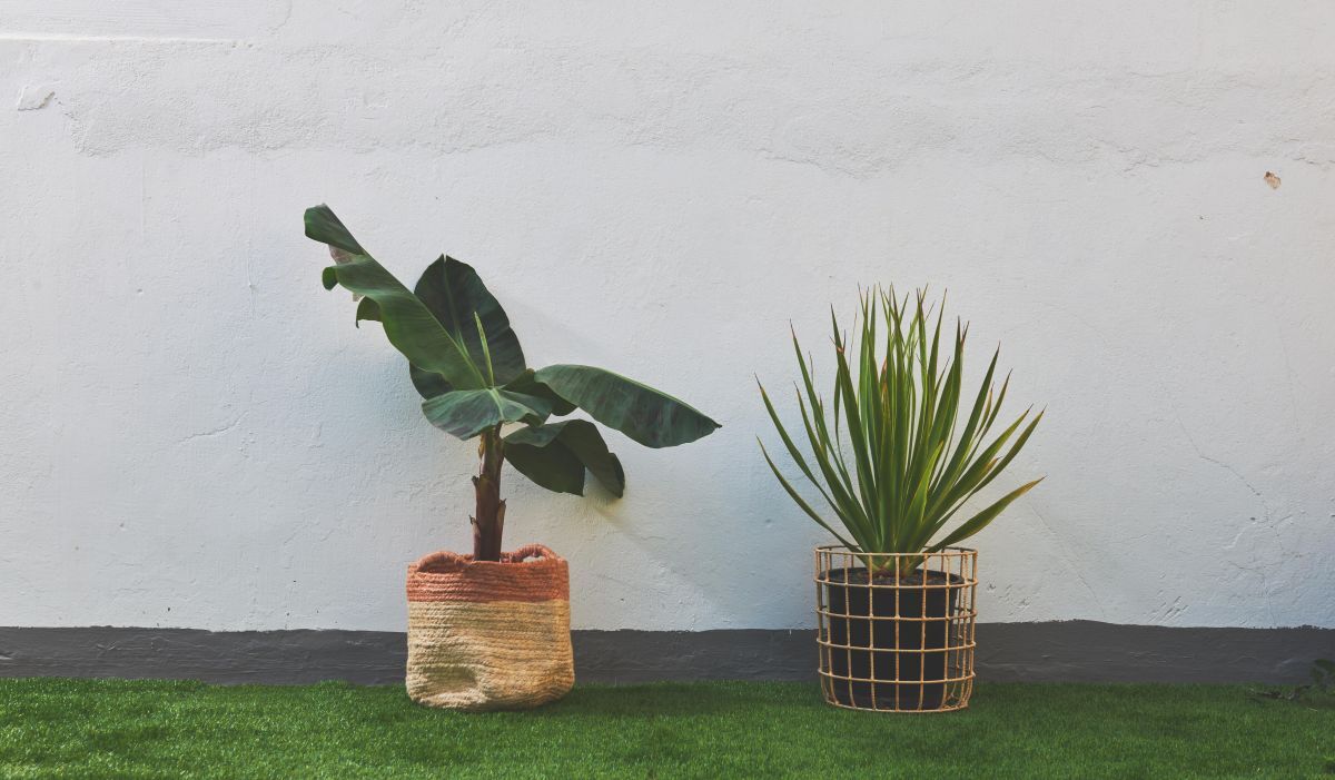 Rollo césped artificial Santorini 2x5m de Leroy Merlin