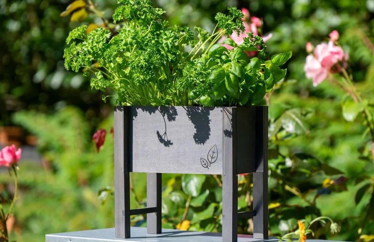 Arriate con patas para hierbas Dobar