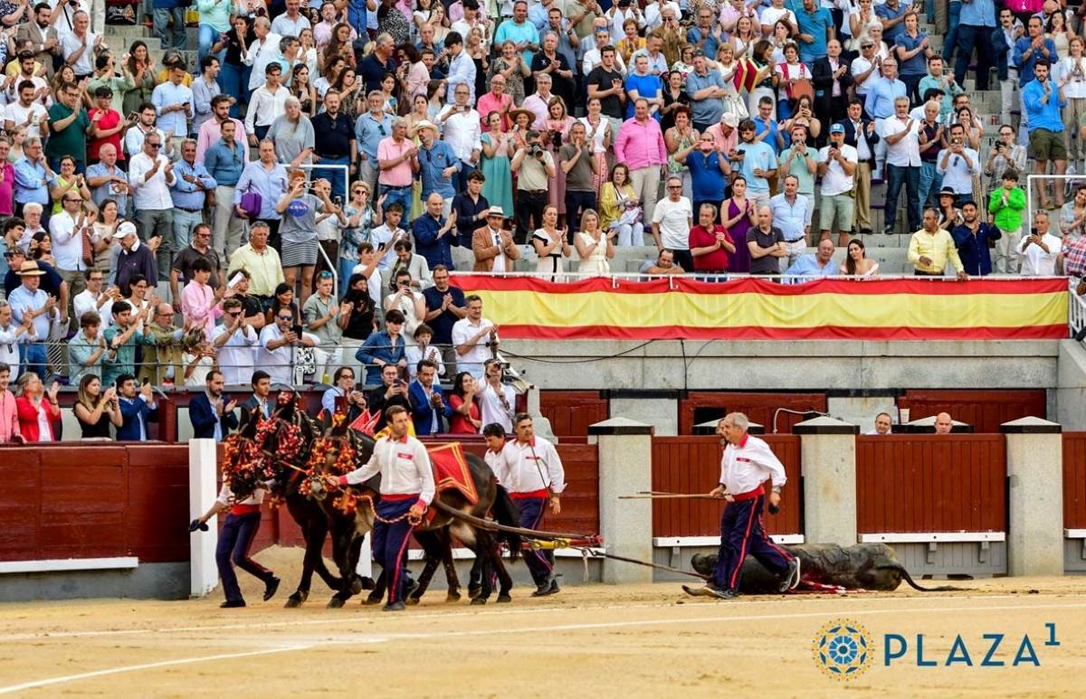 Honores a Milhijas | Plaza 1