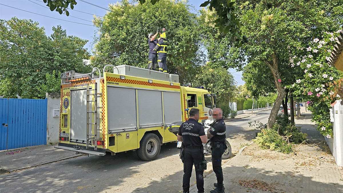 Bomberos levantan el cableado de Movistar para evitar que sea arrollado de nuevo por otro vehículo