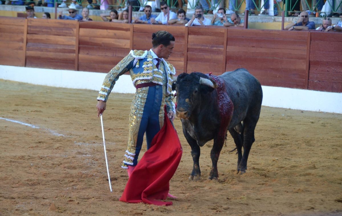 David Galván I Breña