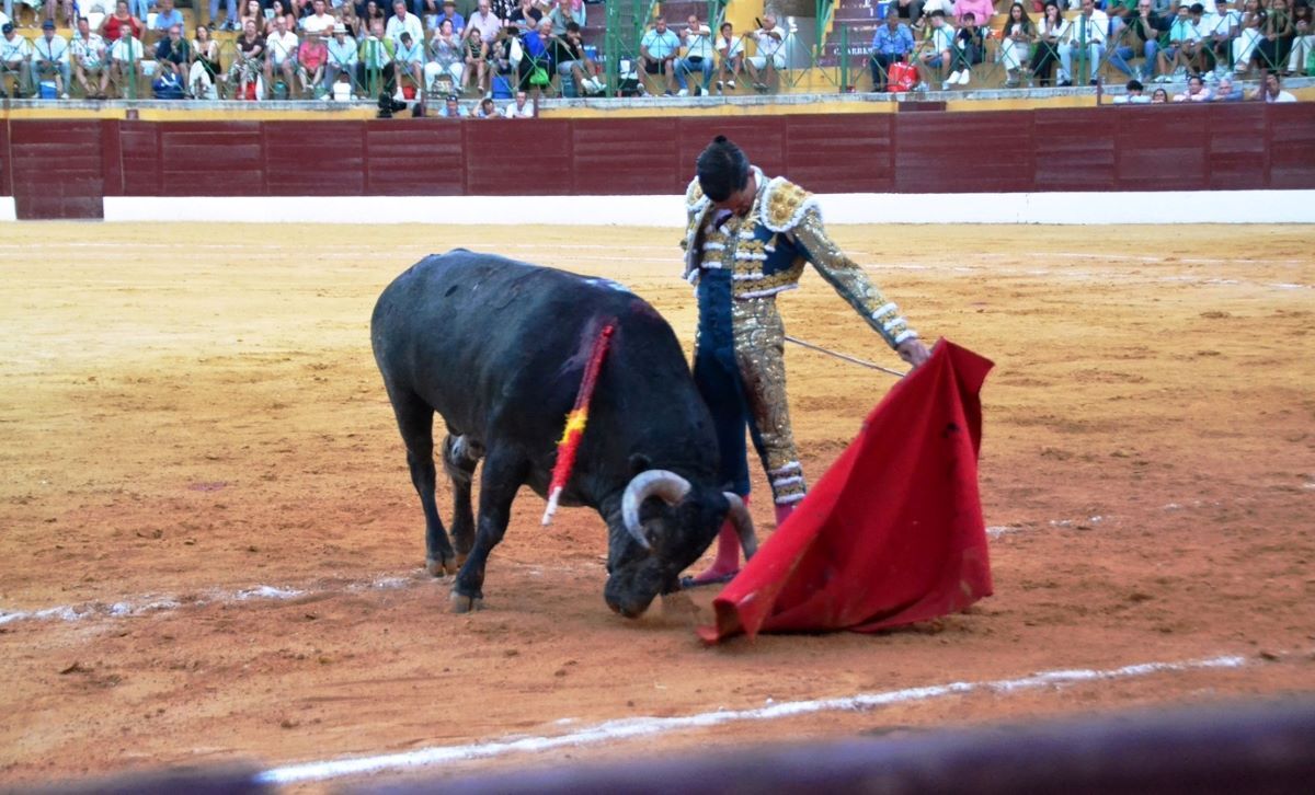 David Galván I Breña