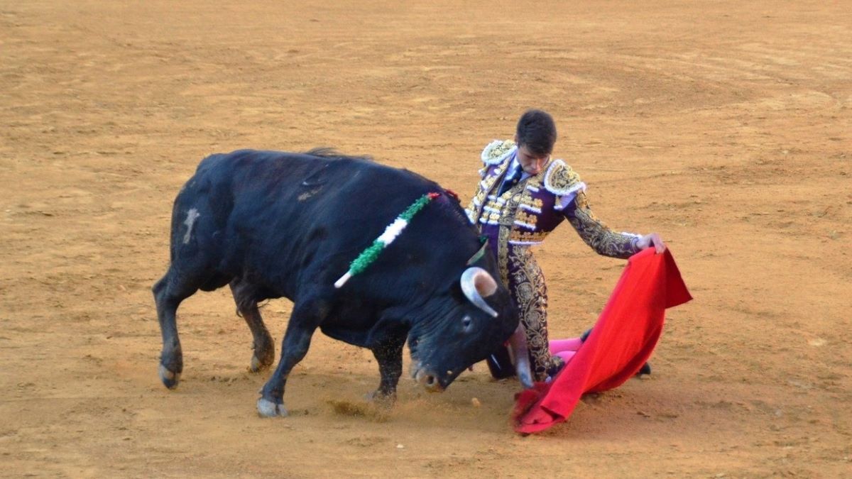 Víctor Barroso I Breña