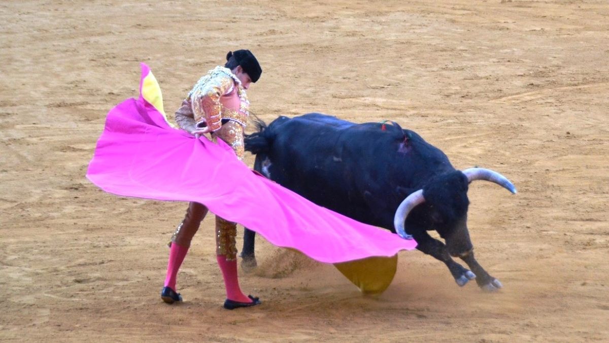 Aarón Palacio I Breña