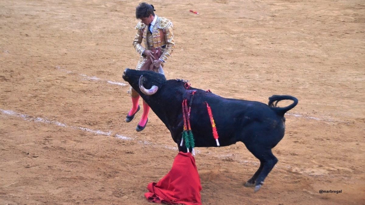 Aarón Palacio I Breña