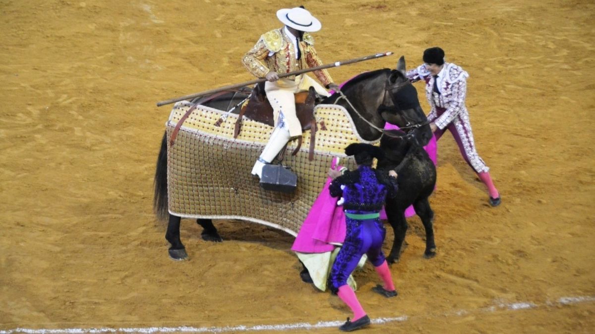 Coleo de Morante I Breña