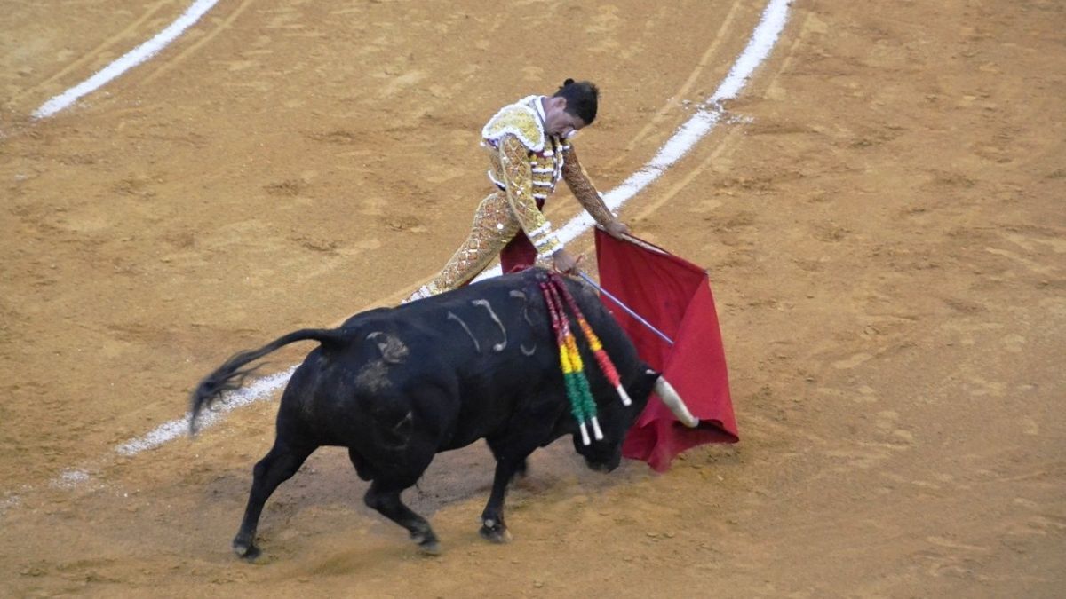 Dani Crespo I Breña