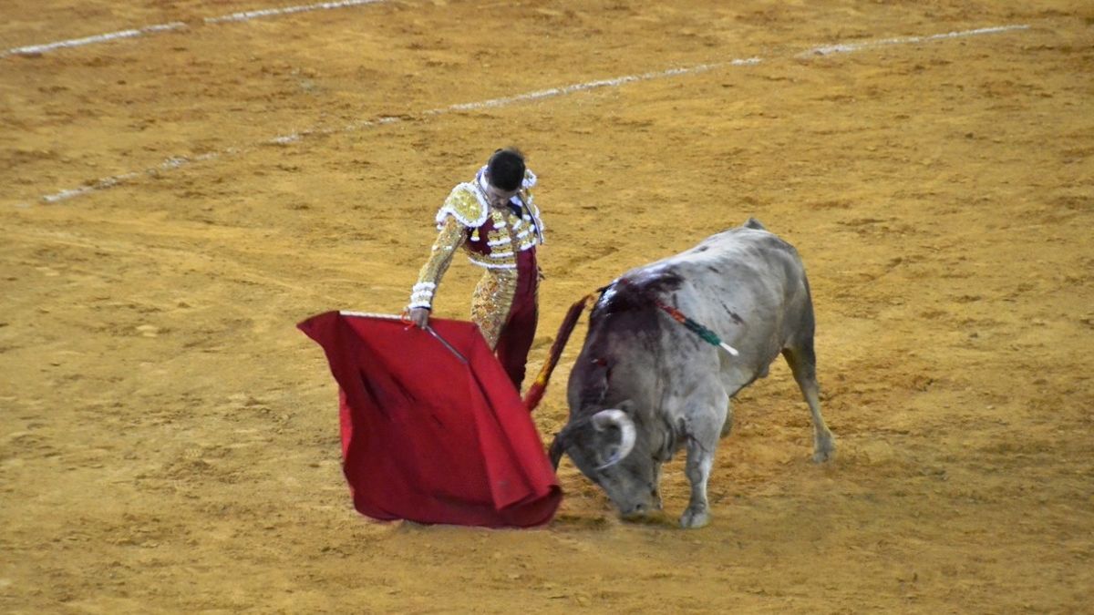 Dani Crespo I Breña