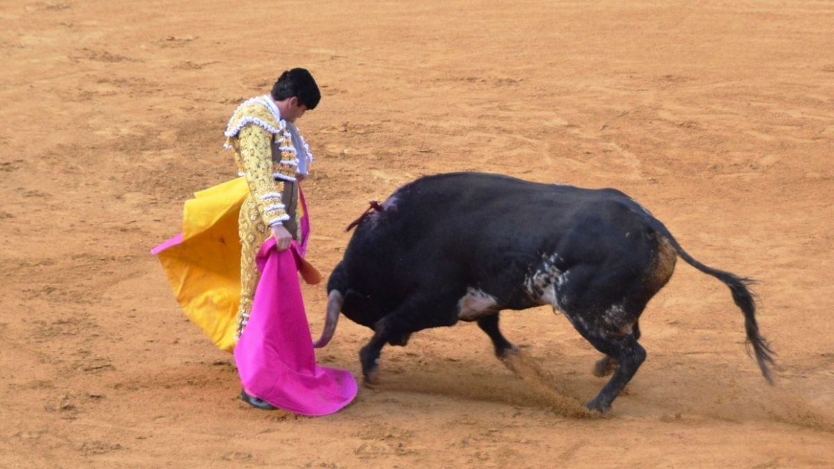 Juan Ortega I Breña