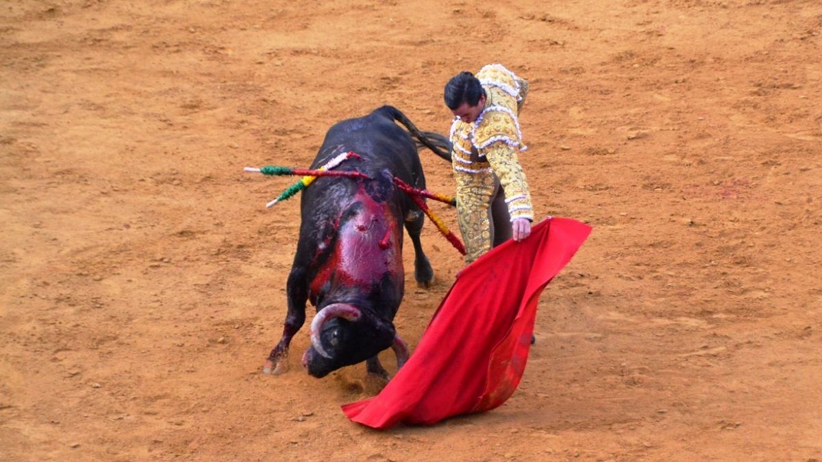 Juan Ortega I Breña