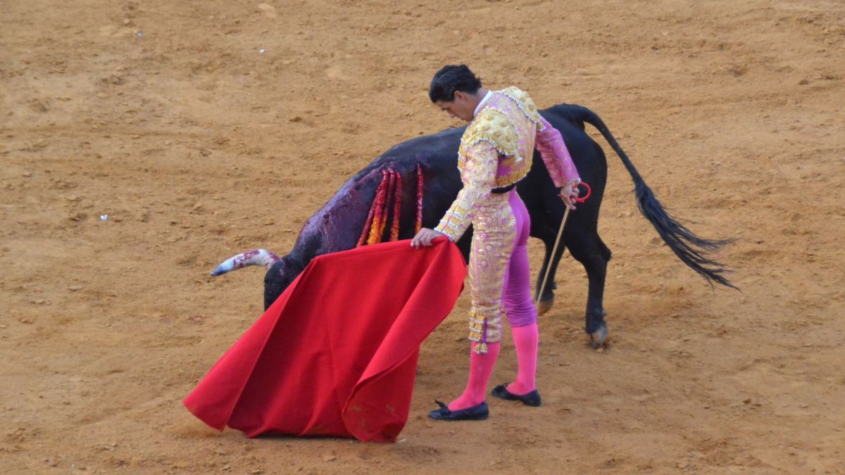 Pablo Aguado I Breña