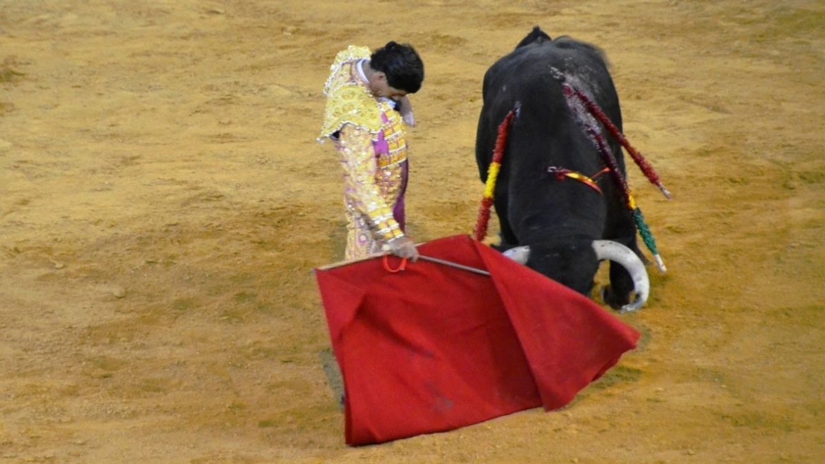 Pablo Aguado I Breña