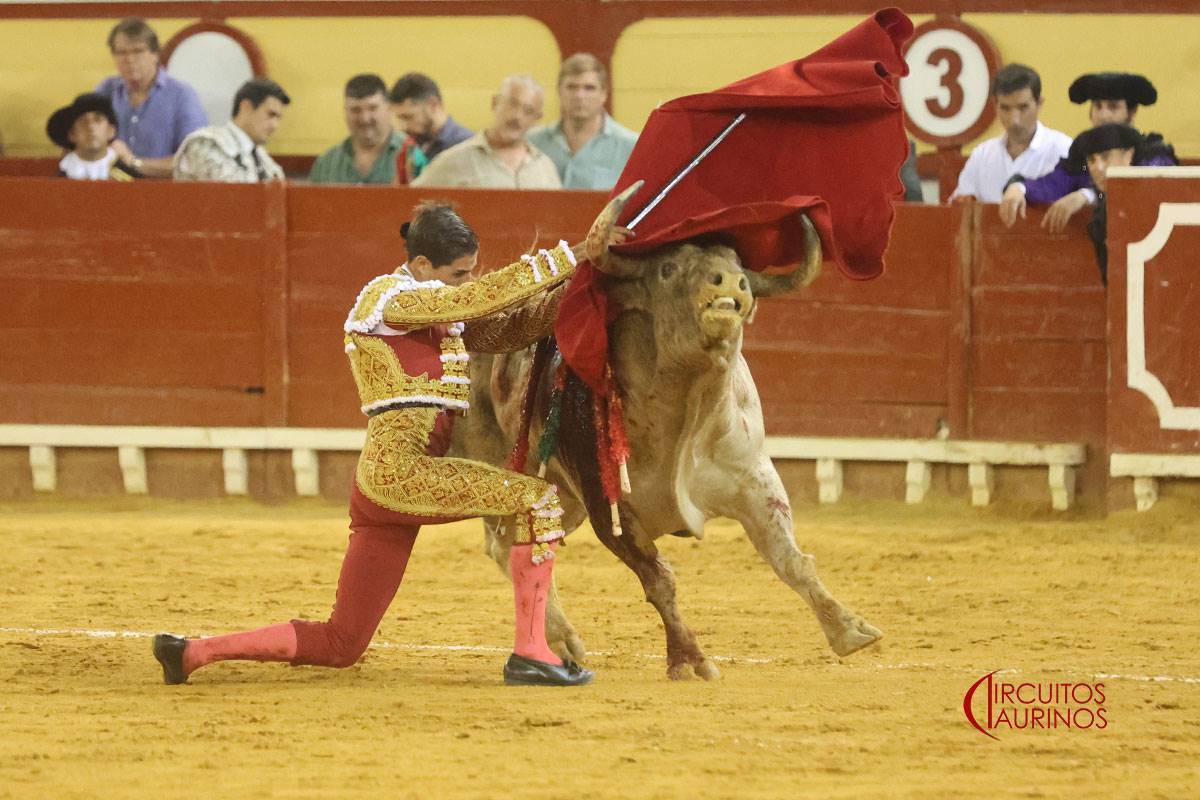 Ayudado de rodillas I Circuitos Taurinos