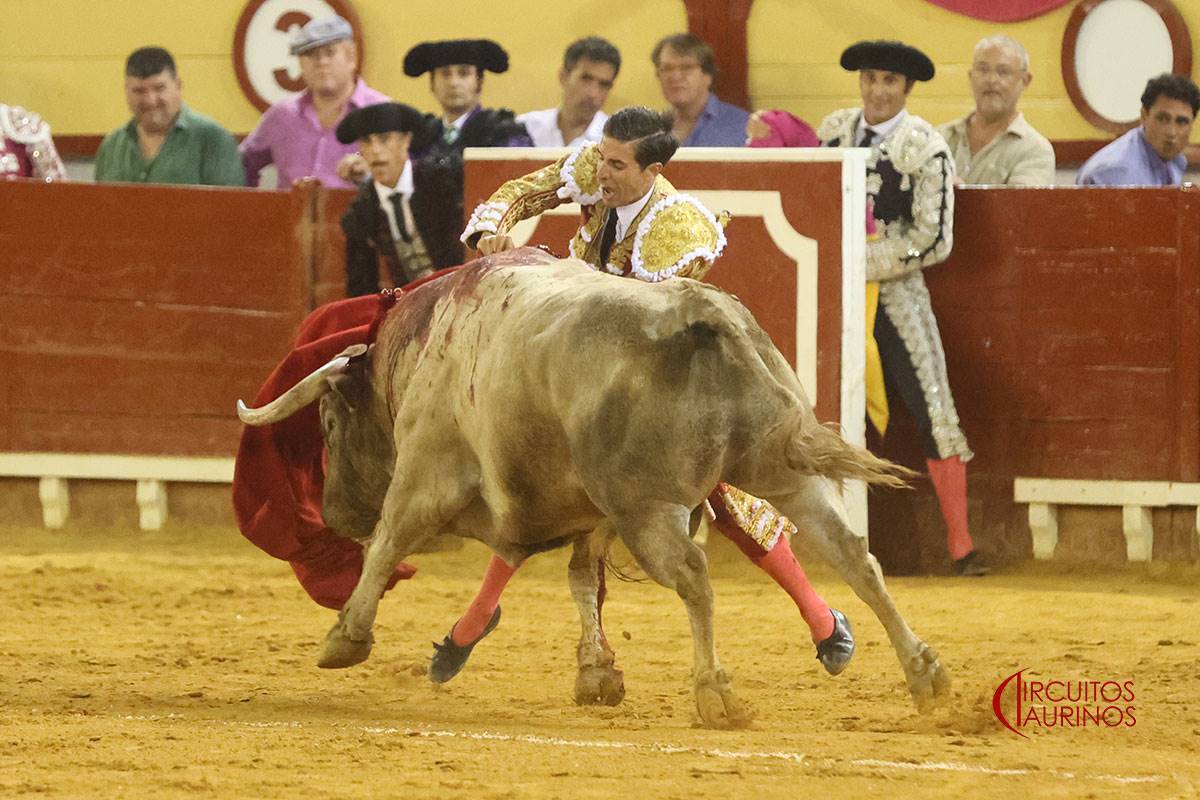 Gran estocada I Circuitos Taurinos