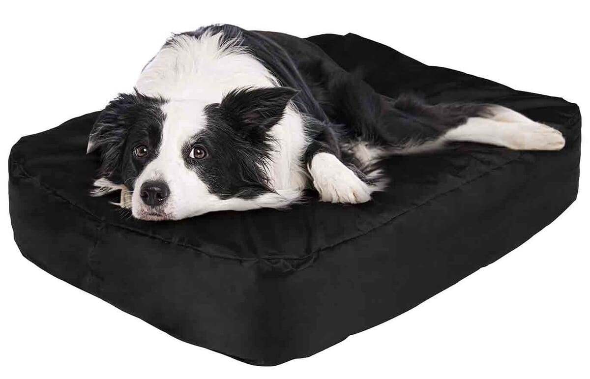 Cama inflable para perro