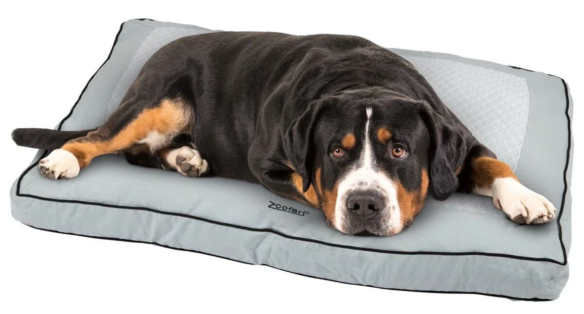 Cama para perros autocalentable y autoenfriable, Zoofari