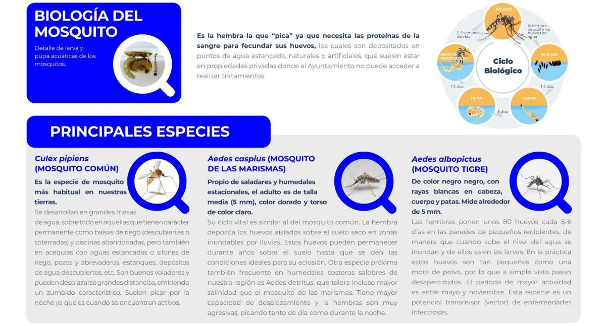 Biología del mosquito del Virus del Nilo