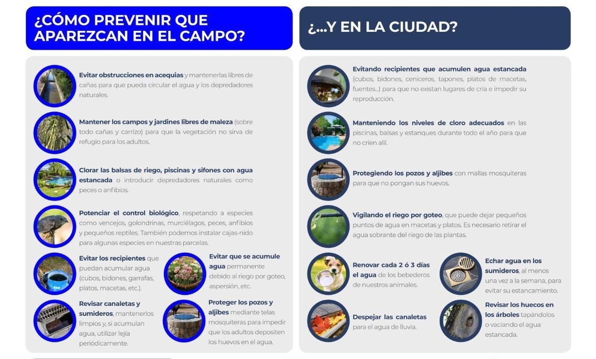 Prevención de la proliferación del mosquito del Virus del Nilo