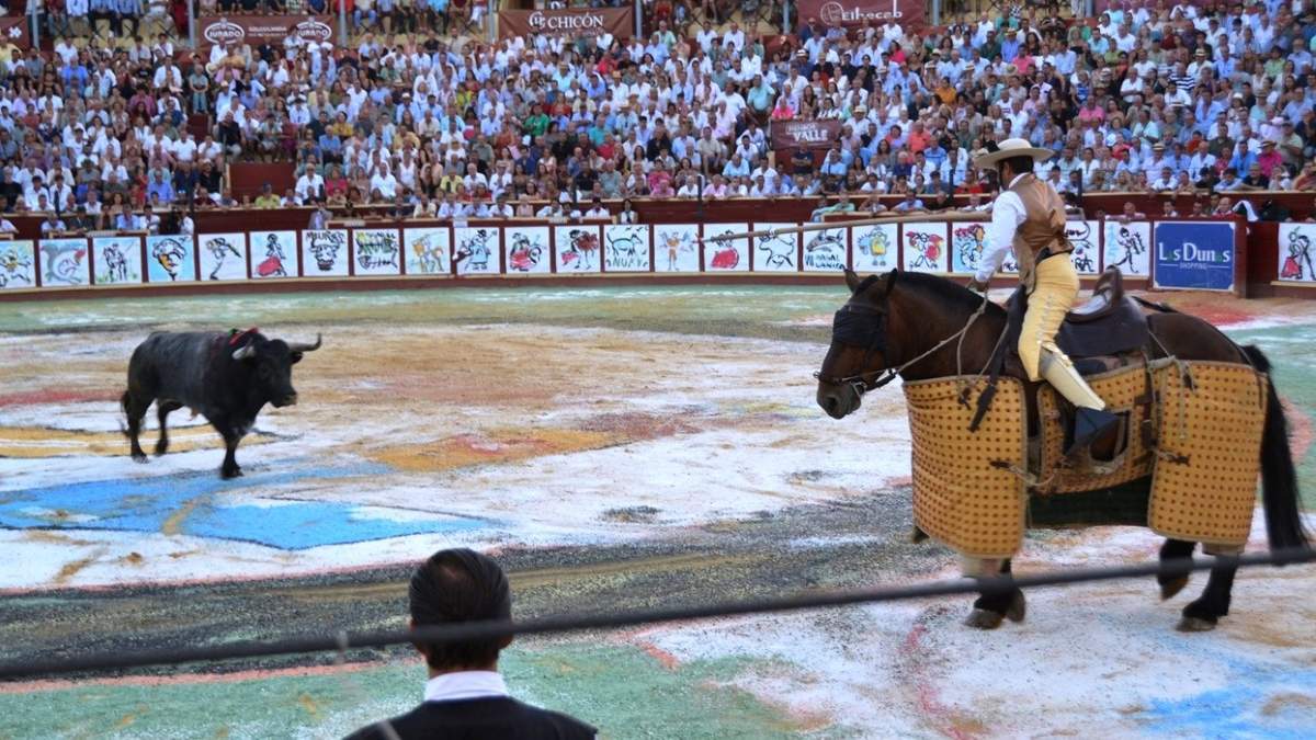 Mirlito al caballo I Breña