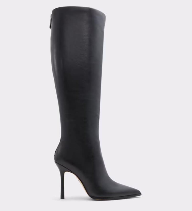 Botas en piel con punta afilada, Aldo