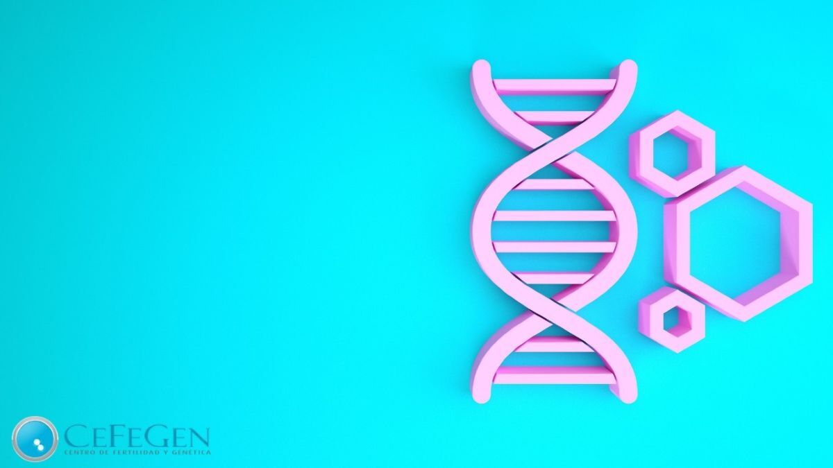 Prueba de paternidad - Cefegen