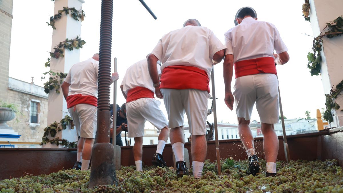 Pisa de la uva | Cristo García