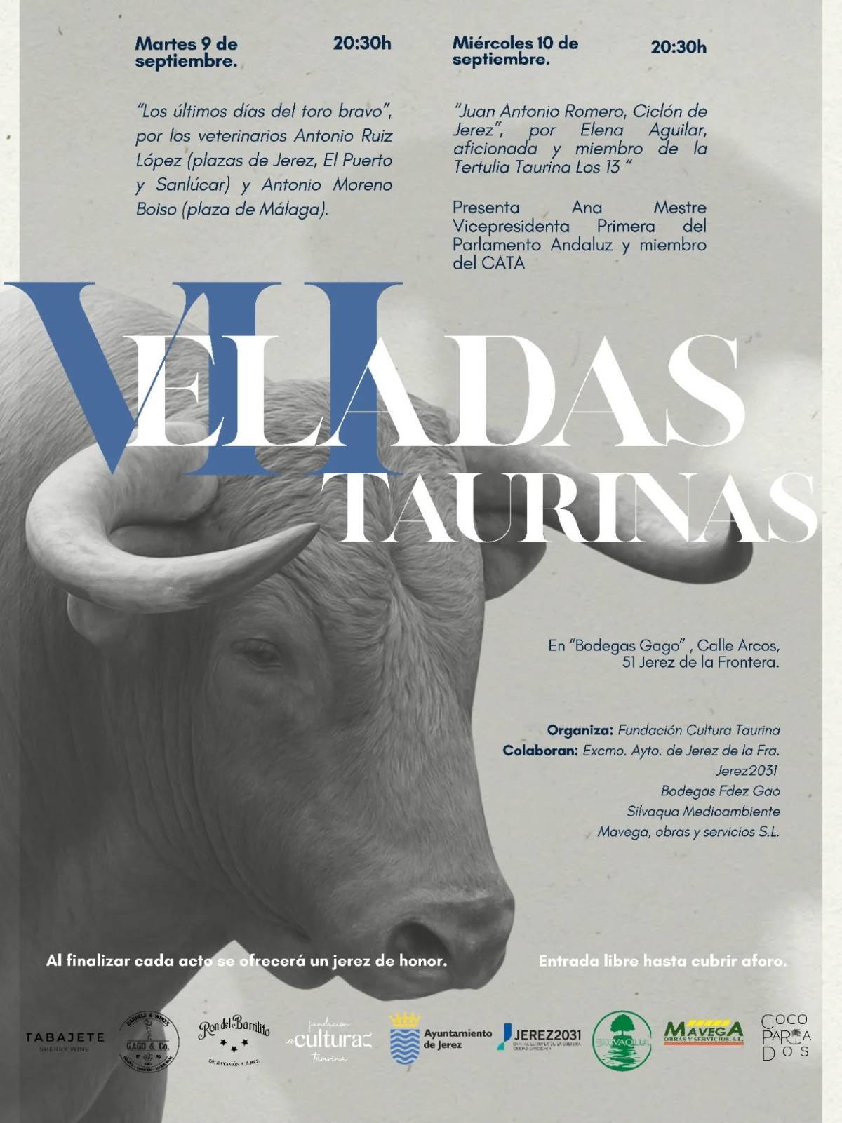 VII Veladas Taurinas