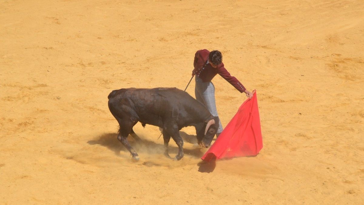 Álvaro Ávalos I Breña